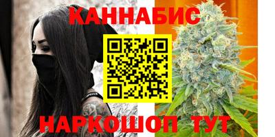 крисы Новокубанск