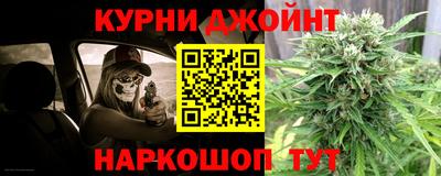 прущие грибы Новозыбков