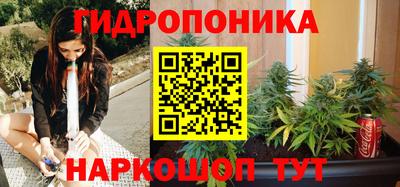 крисы Новокубанск