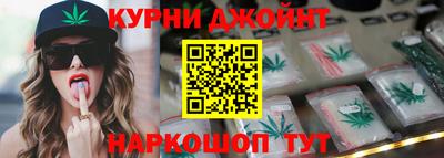прущие грибы Новозыбков