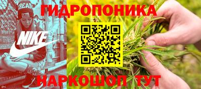 крисы Новокубанск