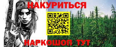 крисы Новокубанск