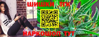 прущие грибы Новозыбков